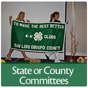 Help shape 4-H in California!
