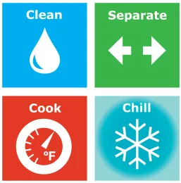Food Safety Icon