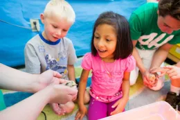 4-H students showing chicks to children.