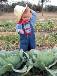 Farmers Market Fun with Kids