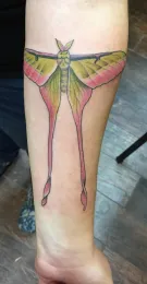 This is a close-up of the tattoo that won Karissa Merritt,