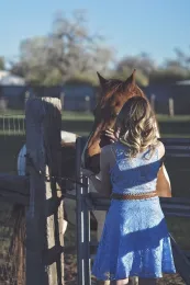horse for community project