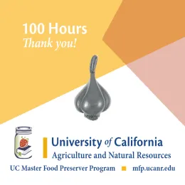 100 HOURS GARLIC Volunteer Recognition Pins