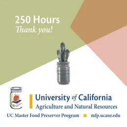 250 HOURS SPOONS MFP Volunteer Recognition Pins 250 HOURS