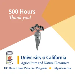 500 HOURS CARROT MFP Volunteer Recognition Pins 500 HOURS