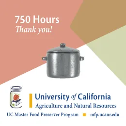 750 HOURS POT MFP Volunteer Recognition Pins