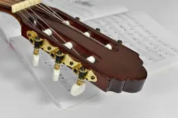 Música e Instrumentos Musicales