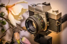 Fotografía