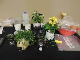 MG plants