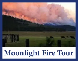 moonlight fire