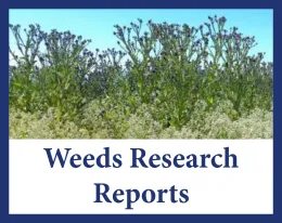 weeds reports