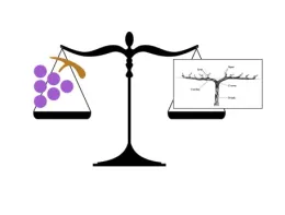 Vinebalance