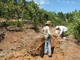 A soil pit.