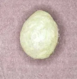 D.