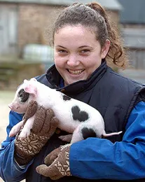 piglet