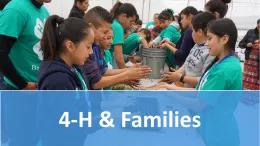 4-H