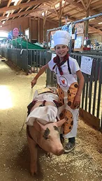 chef pig