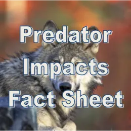 factsheetbutton