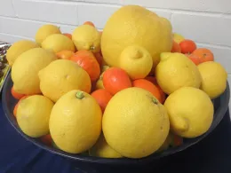 IMG 2710