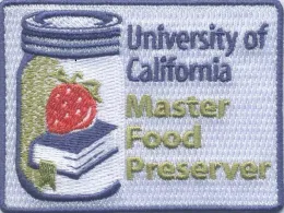 Patch sample