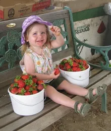 ¡Fresas! - Pacific Star Gardens