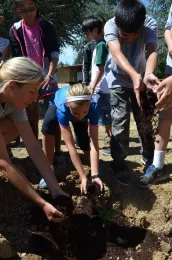 PLT kids digging