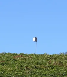 An owl box.