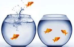 fishbowl