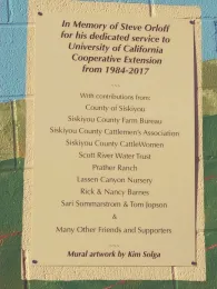 A plaque acknowledging contributions to the project is affixed to the mural.