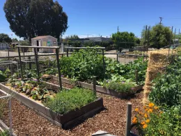 Guadalupe Demo Garden Jim Lockhart