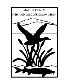 2011 Logo
