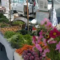 Farmers Markets