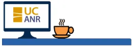 WebCafeLongTable
