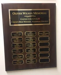 Oliver Wilson Award Plaque