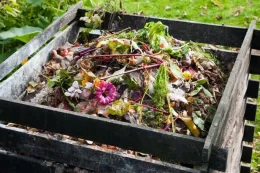 garden compost pile