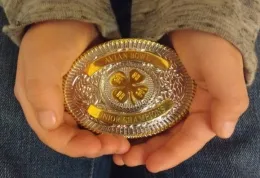belt buckle avian