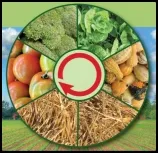 Crop Rotations