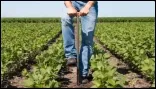 Soil Sampling