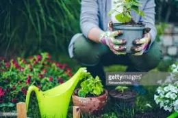 gardening help