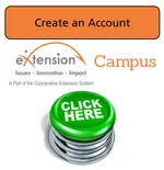 Create an Account