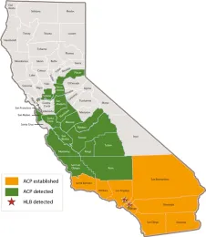 Map of ACP and HLB spread by ANR