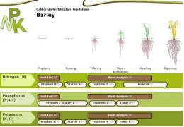 Fertilizer