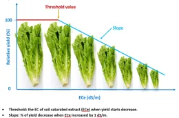 salinity