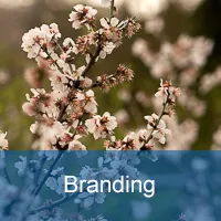 branding