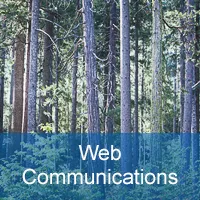 web