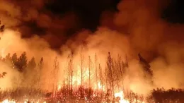blazing fire