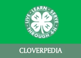 Cloverpedia Document Link