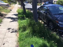 Parking Strip