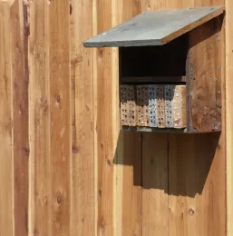 Bee nesting blocks on a fence