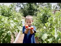 CA4-H Video